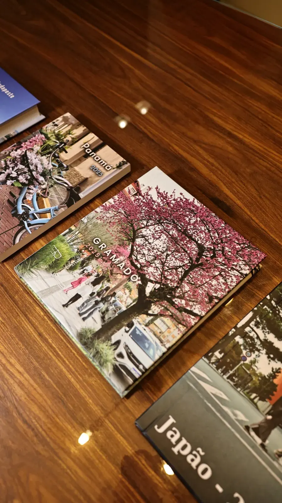 Quatro álbuns de viagem lado a lado: cada um se reconhece pela foto da capa